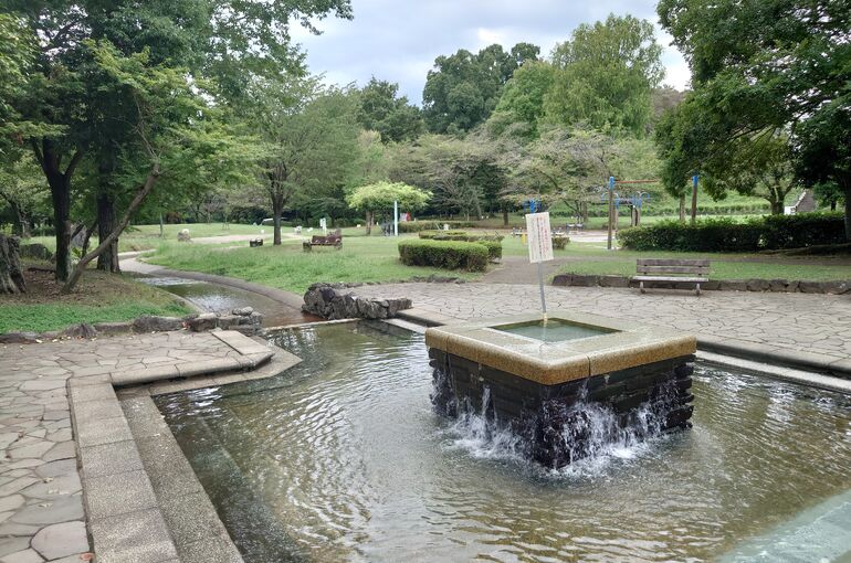 桶川市　城山公園